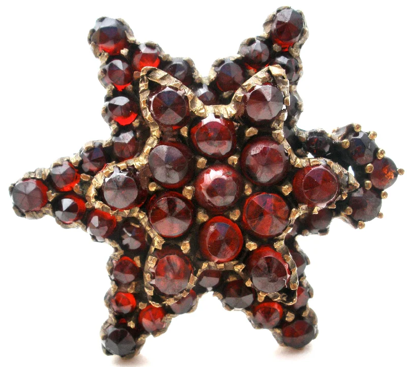 Butterfly Pin Brooch-Victorian Garnet Star Gilt Brooch Pin